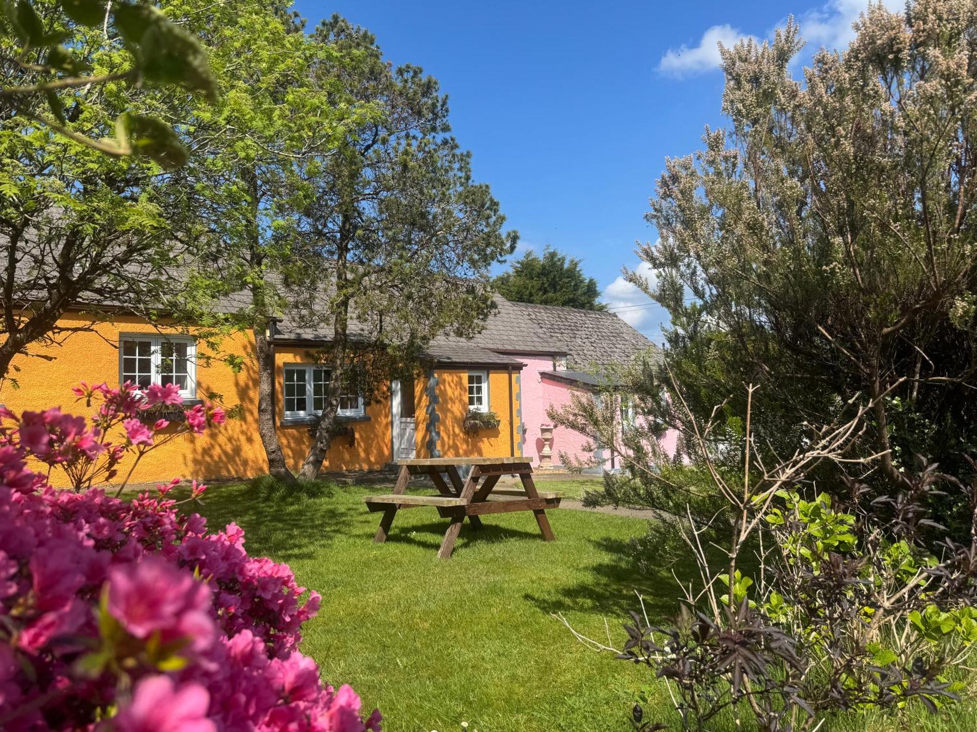 Trenewydd Farm Holiday Cottages Cardigan Exterior photo
